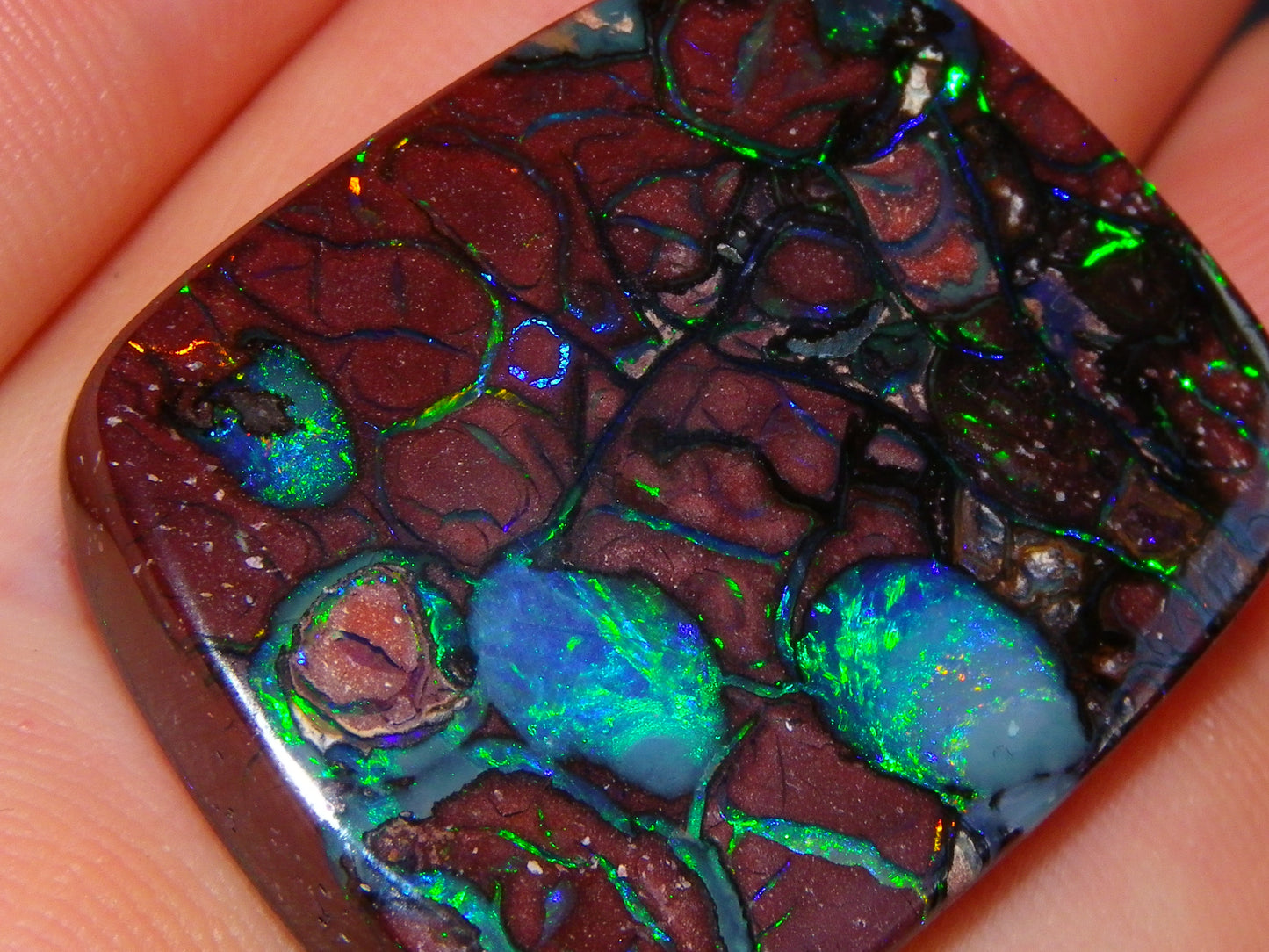 Unusual Gem Koroit Opal Cab 45.28cts Pools/Ponds of Opal Bright Green Veins Qld Australia