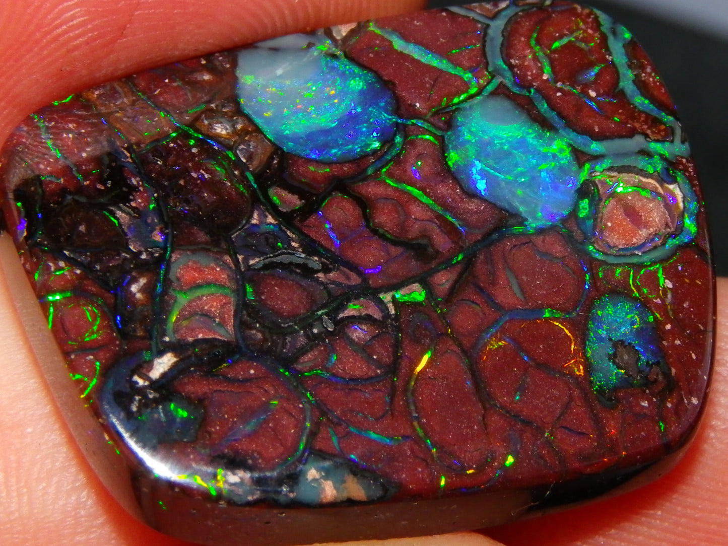 Unusual Gem Koroit Opal Cab 45.28cts Pools/Ponds of Opal Bright Green Veins Qld Australia