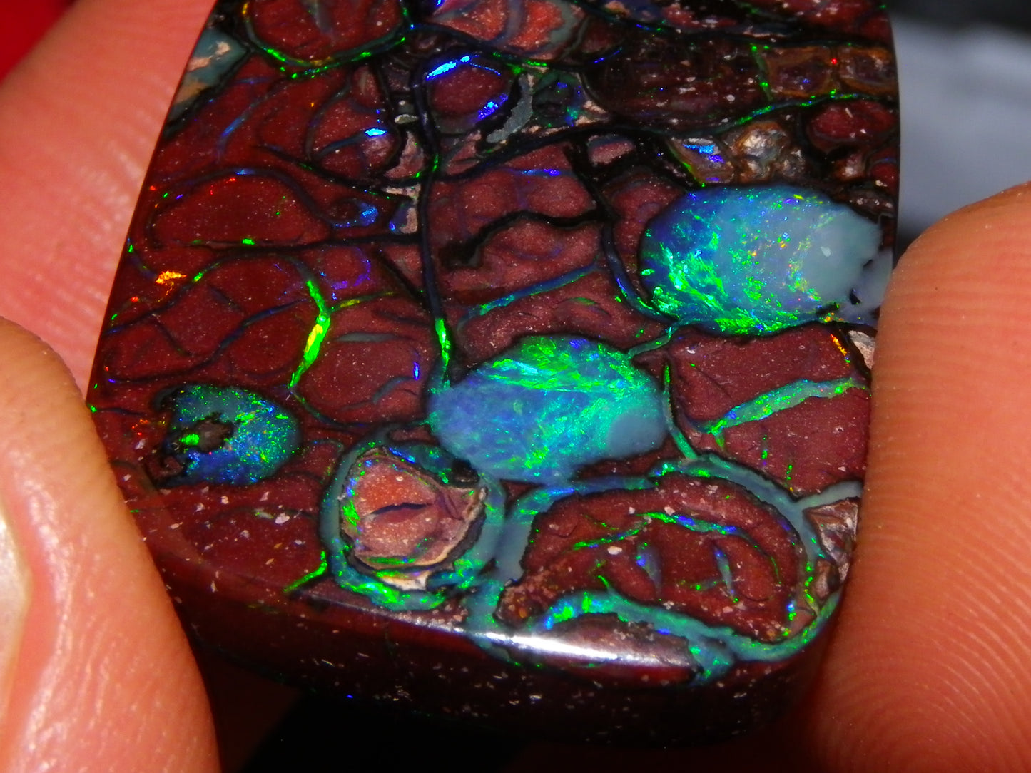 Unusual Gem Koroit Opal Cab 45.28cts Pools/Ponds of Opal Bright Green Veins Qld Australia