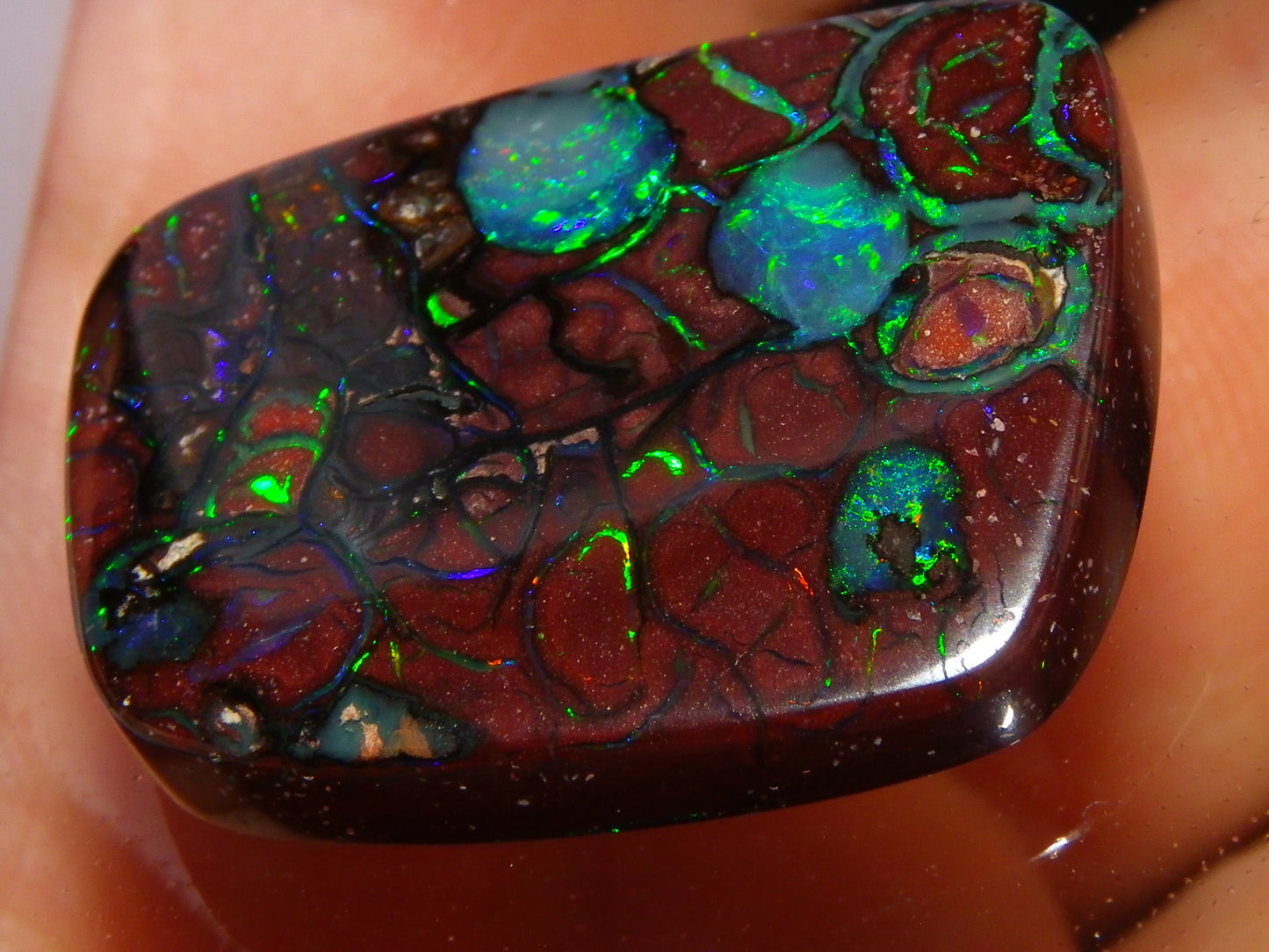 Unusual Gem Koroit Opal Cab 45.28cts Pools/Ponds of Opal Bright Green Veins Qld Australia