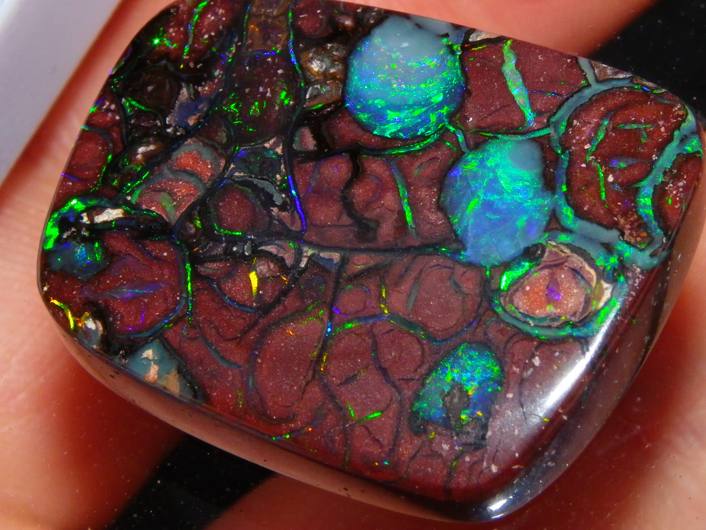 Unusual Gem Koroit Opal Cab 45.28cts Pools/Ponds of Opal Bright Green Veins Qld Australia