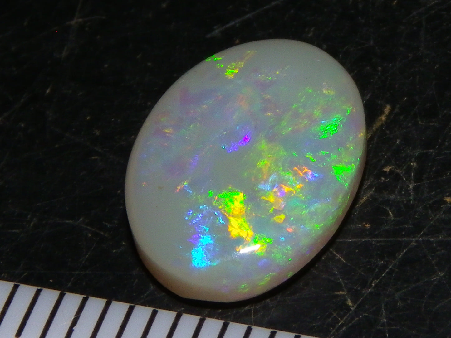 Gem Lightning Ridge Opal Cab 2.95cts Multicolour Fires Light Grey Base Australia