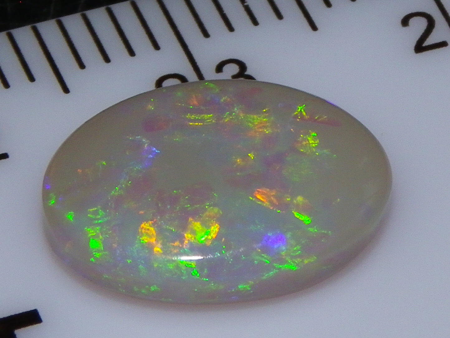 Gem Lightning Ridge Opal Cab 2.95cts Multicolour Fires Light Grey Base Australia