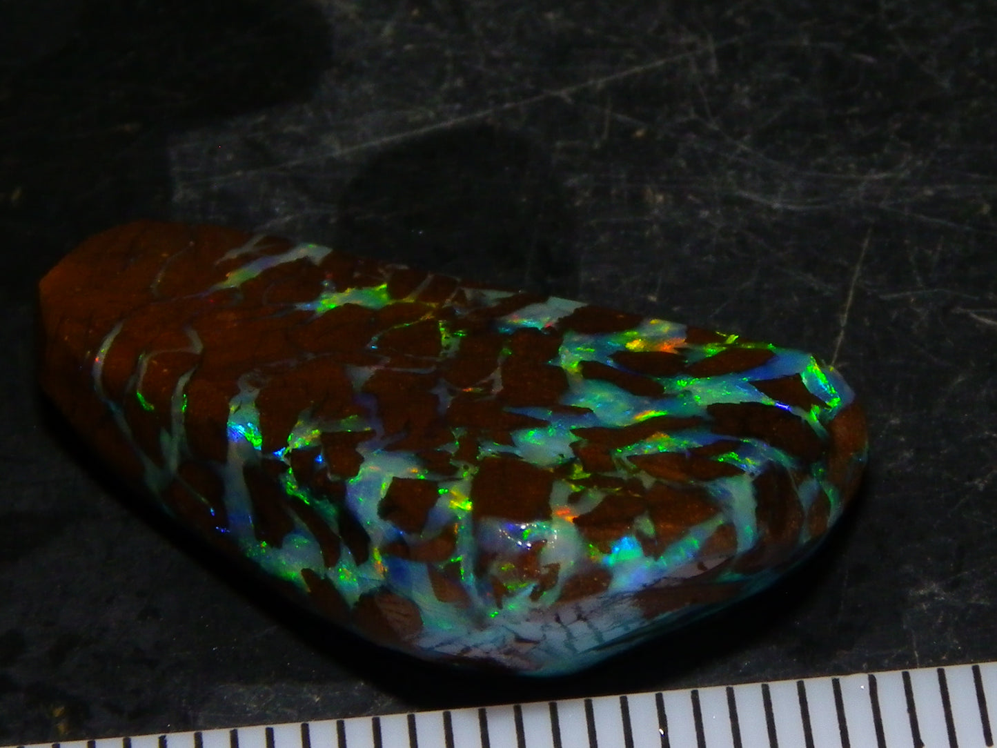 Nice Quality Gem Matrix Opal Rub/Preform 19.66cts Fires/Crystal/Ironstones Queensland