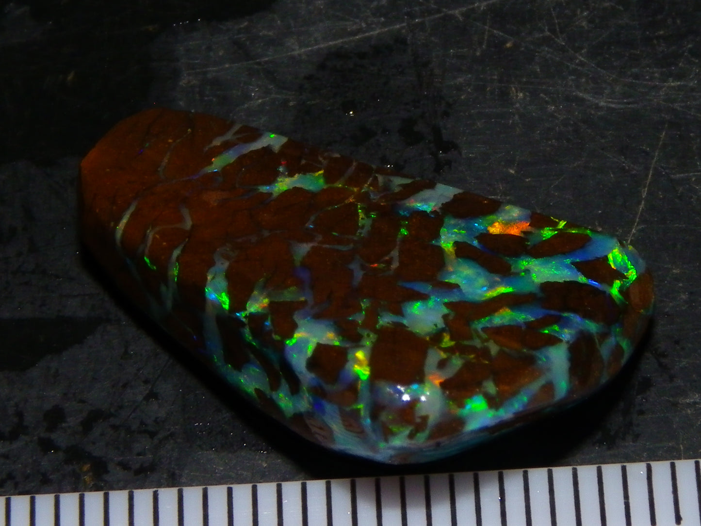 Nice Quality Gem Matrix Opal Rub/Preform 19.66cts Fires/Crystal/Ironstones Queensland