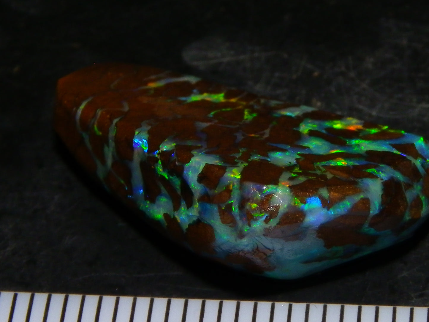 Nice Quality Gem Matrix Opal Rub/Preform 19.66cts Fires/Crystal/Ironstones Queensland