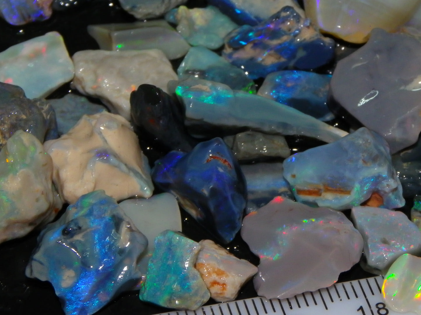 Nice Rough Lightning Ridge Opal Parcel 244cts Crystal/Seam/Nobby Fires Australia (P8)