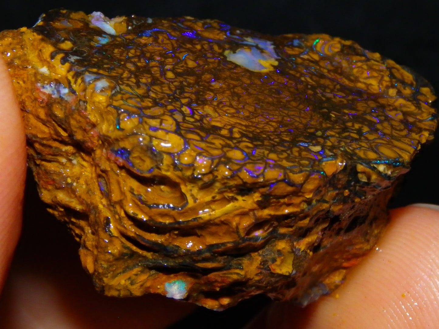 Nice Sliced Koroit Opal Rough/specimen 120.6cts Queensland Auustralia