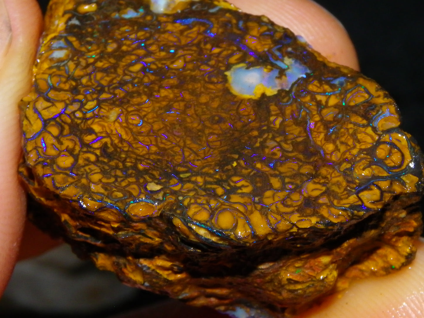 Nice Sliced Koroit Opal Rough/specimen 120.6cts Queensland Auustralia