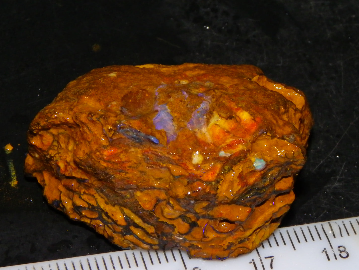 Nice Sliced Koroit Opal Rough/specimen 120.6cts Queensland Auustralia