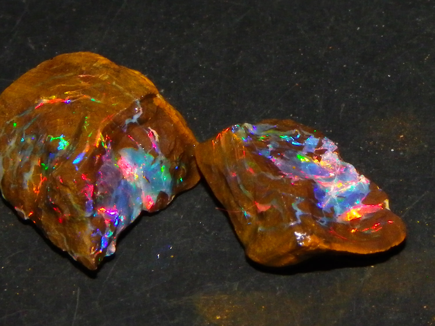 Australian Queensland Opal Rough