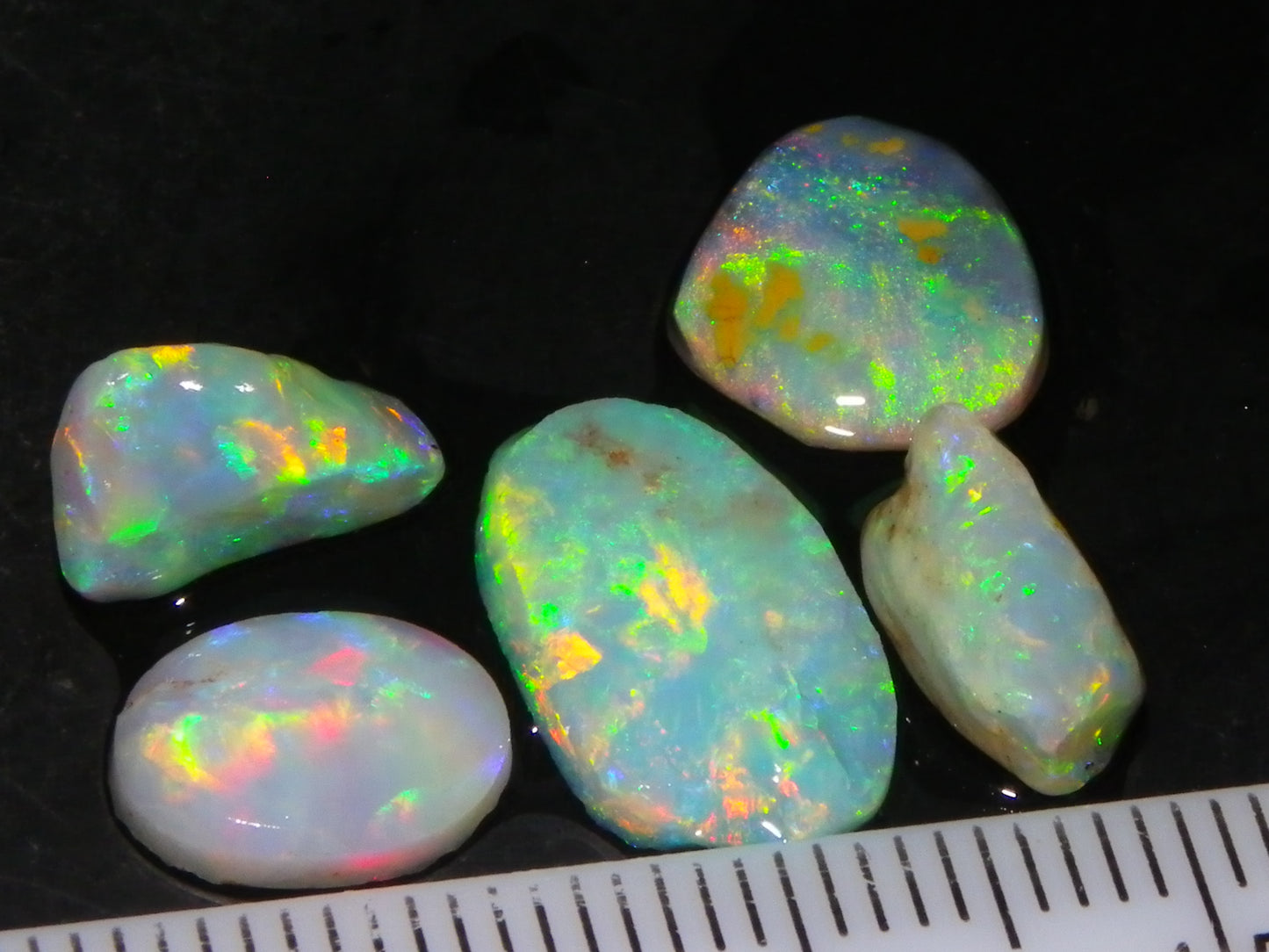 Nice Quality Rough/Rubbed Coober Pedy/LR Opal 8.25cts Bright Multicolours/Preforms Fires