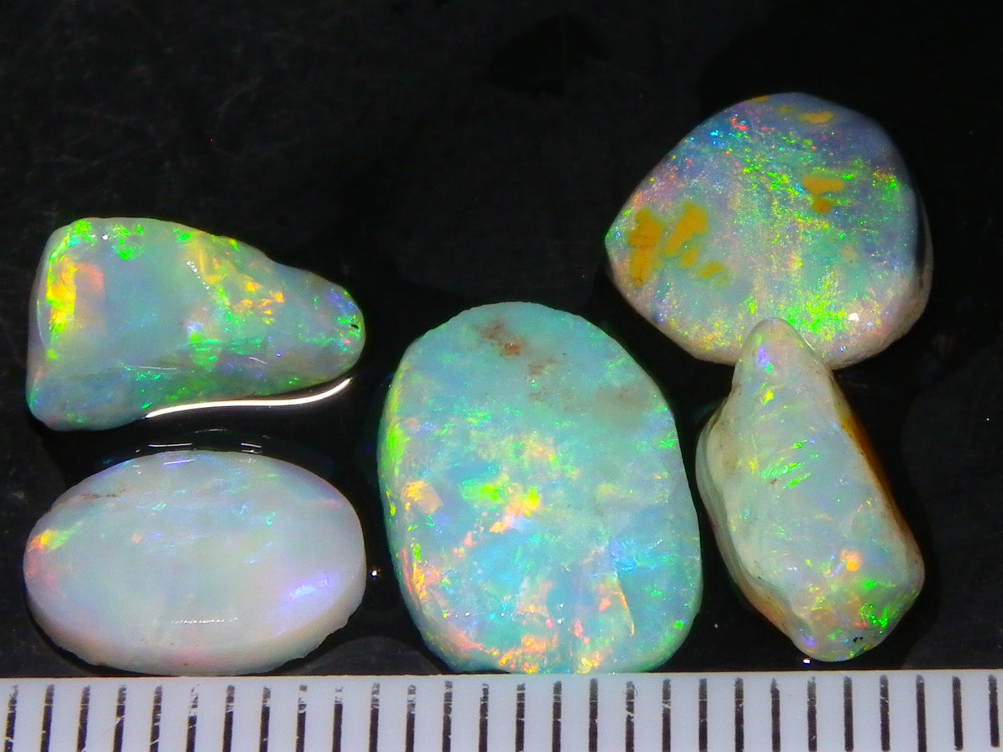 Nice Quality Rough/Rubbed Coober Pedy/LR Opal 8.25cts Bright Multicolours/Preforms Fires