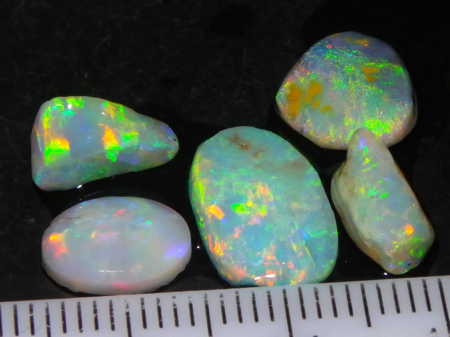 Nice Quality Rough/Rubbed Coober Pedy/LR Opal 8.25cts Bright Multicolours/Preforms Fires