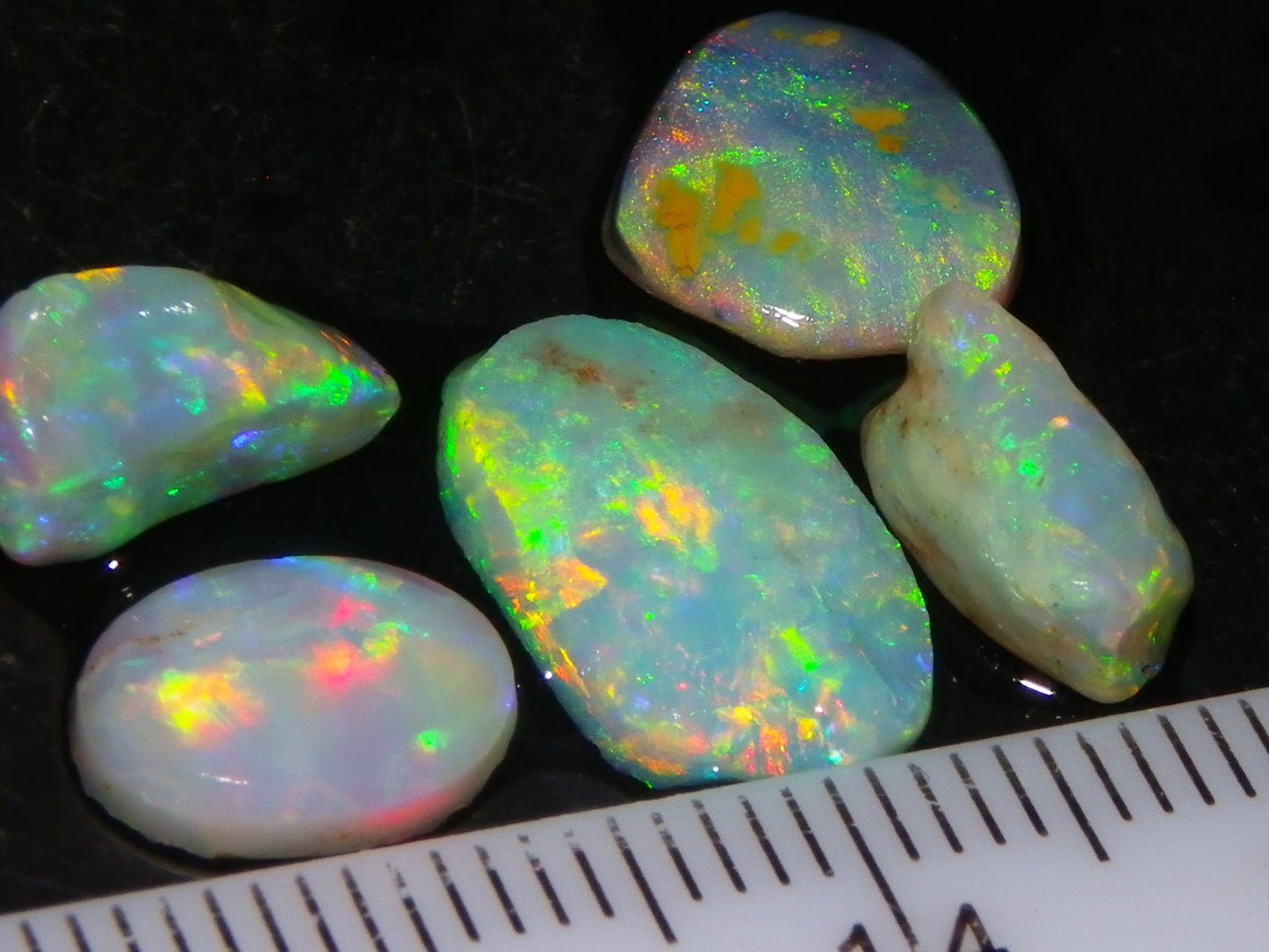 Nice Quality Rough/Rubbed Coober Pedy/LR Opal 8.25cts Bright Multicolours/Preforms Fires