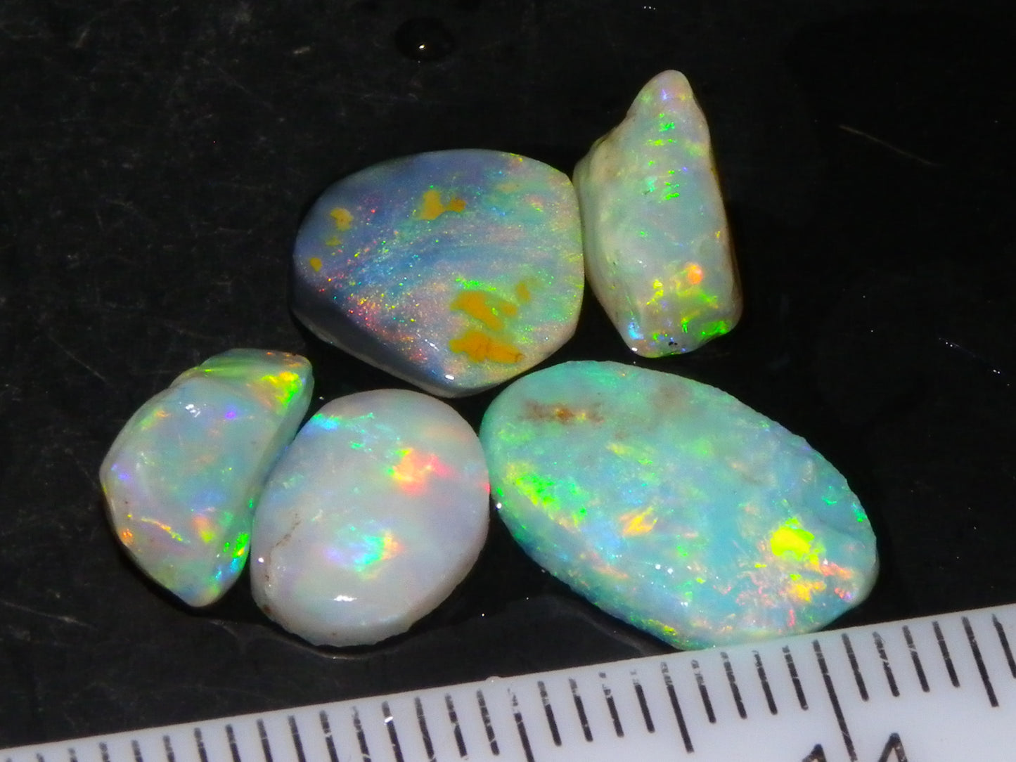 Nice Quality Rough/Rubbed Coober Pedy/LR Opal 8.25cts Bright Multicolours/Preforms Fires