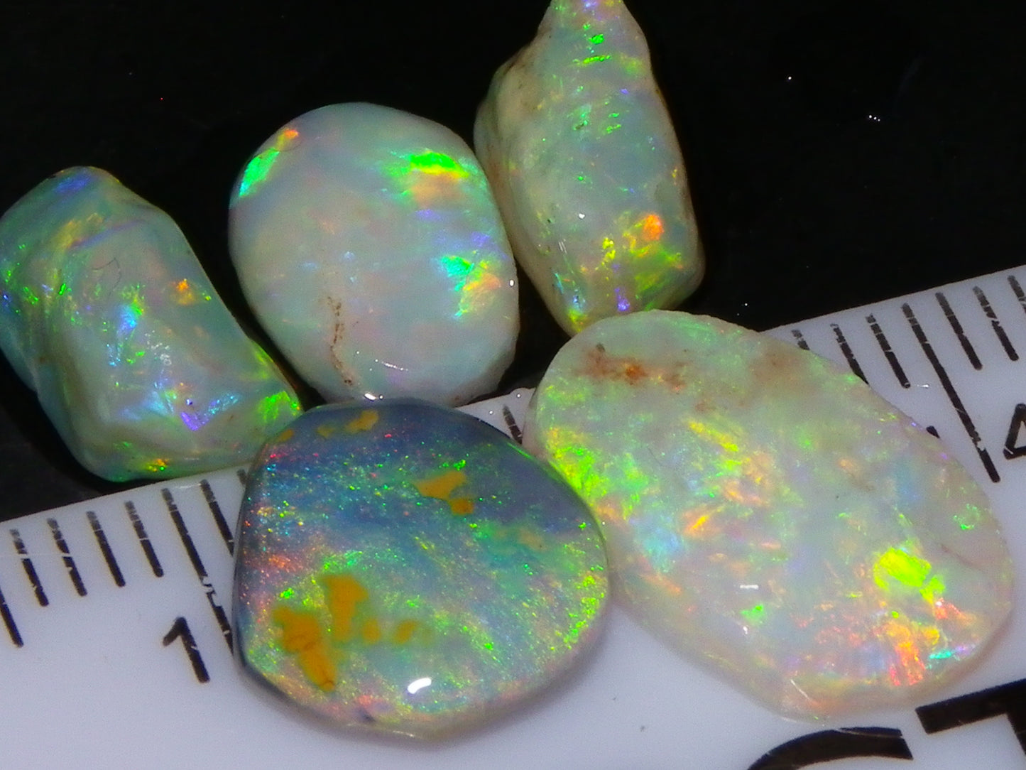 Nice Quality Rough/Rubbed Coober Pedy/LR Opal 8.25cts Bright Multicolours/Preforms Fires