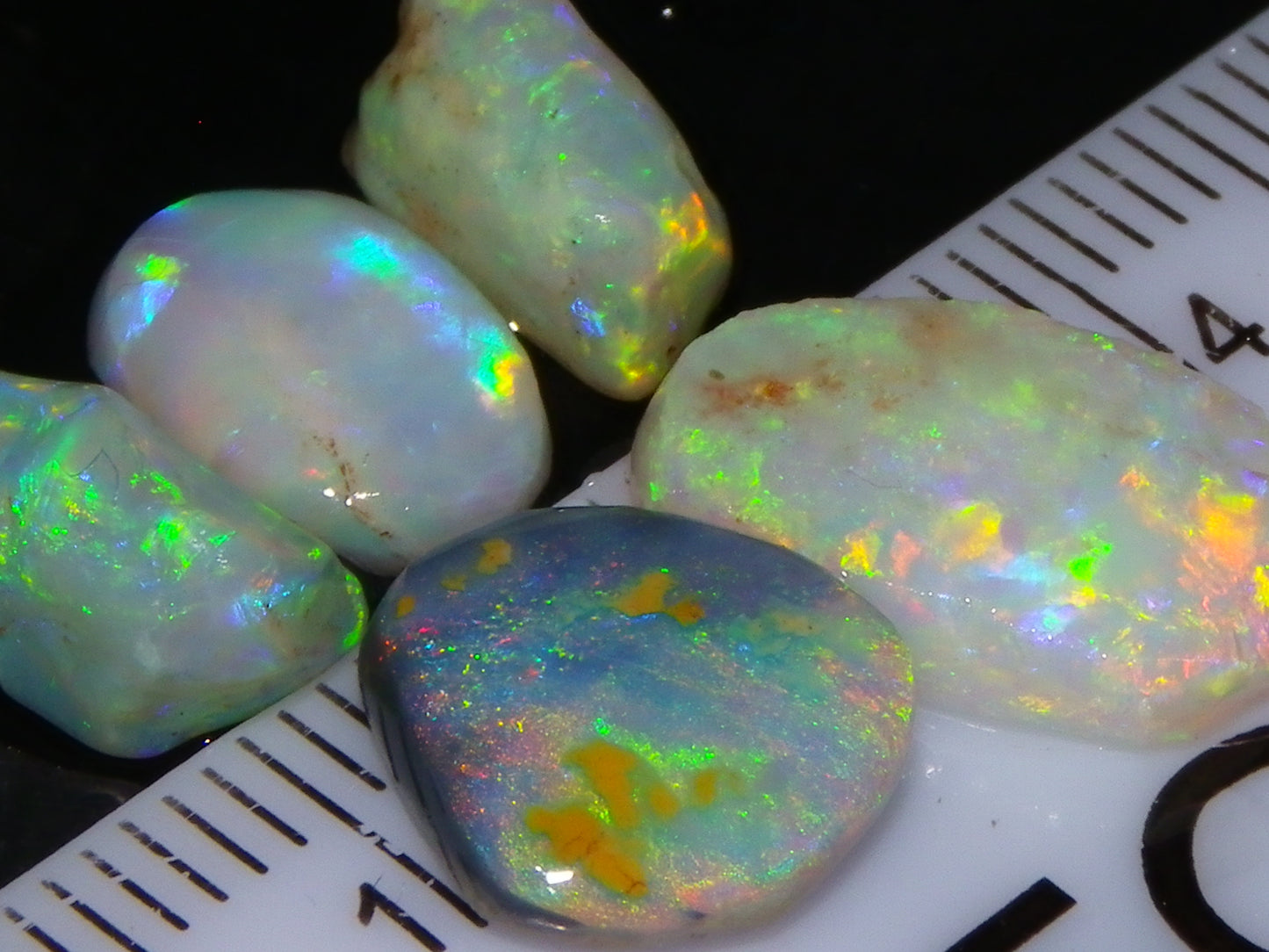 Nice Quality Rough/Rubbed Coober Pedy/LR Opal 8.25cts Bright Multicolours/Preforms Fires