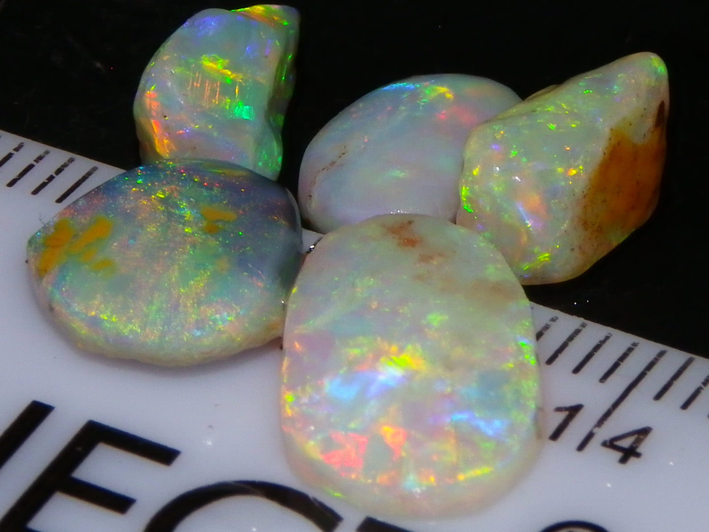 Nice Quality Rough/Rubbed Coober Pedy/LR Opal 8.25cts Bright Multicolours/Preforms Fires