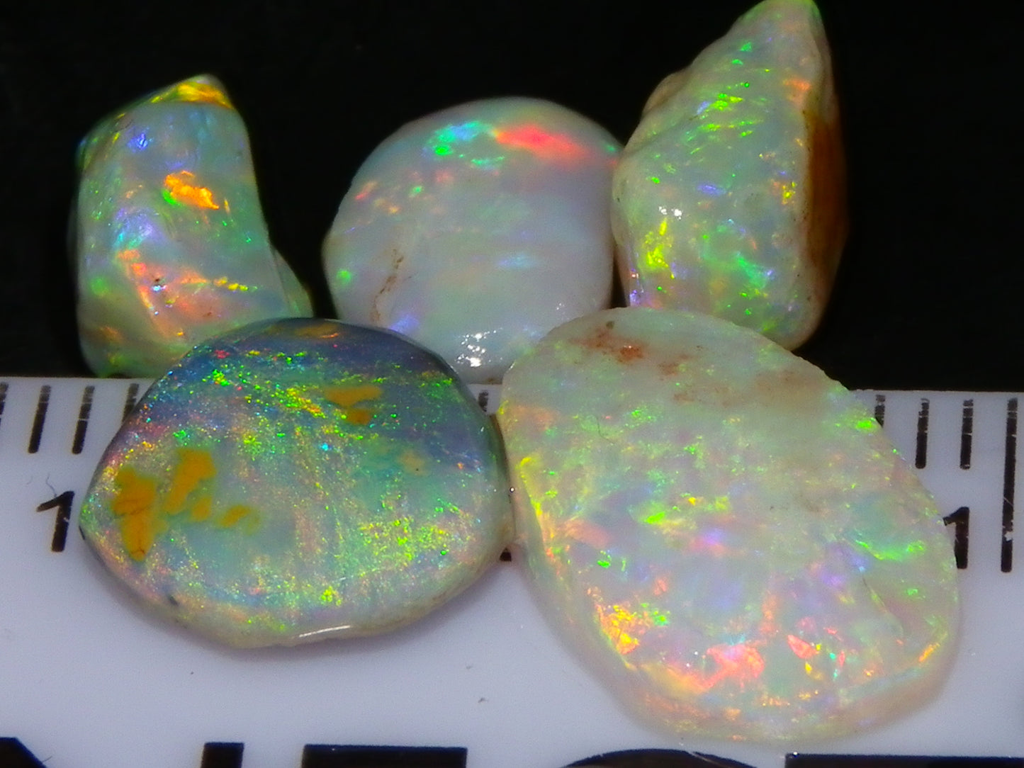 Nice Quality Rough/Rubbed Coober Pedy/LR Opal 8.25cts Bright Multicolours/Preforms Fires