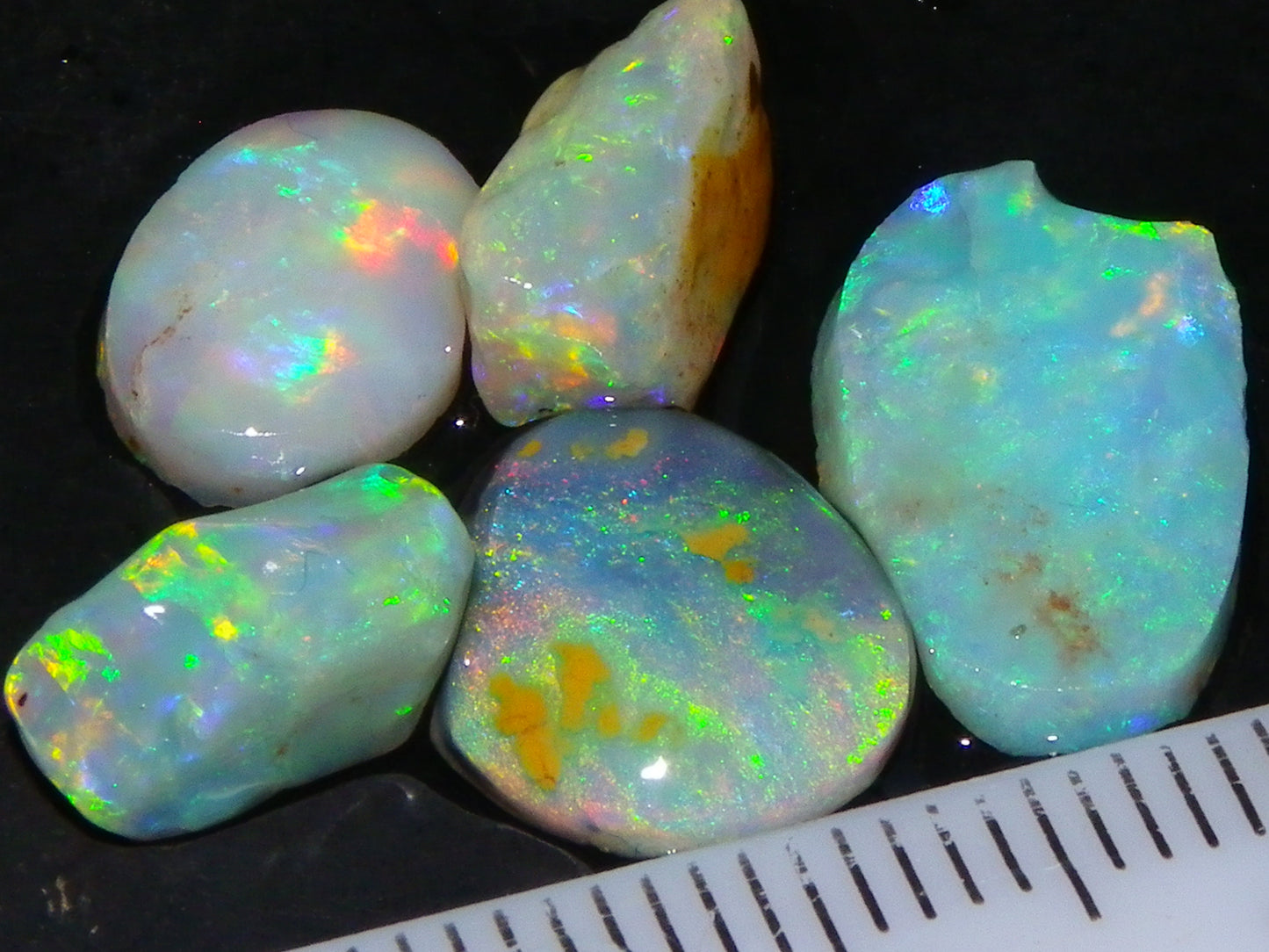 Nice Quality Rough/Rubbed Coober Pedy/LR Opal 8.25cts Bright Multicolours/Preforms Fires