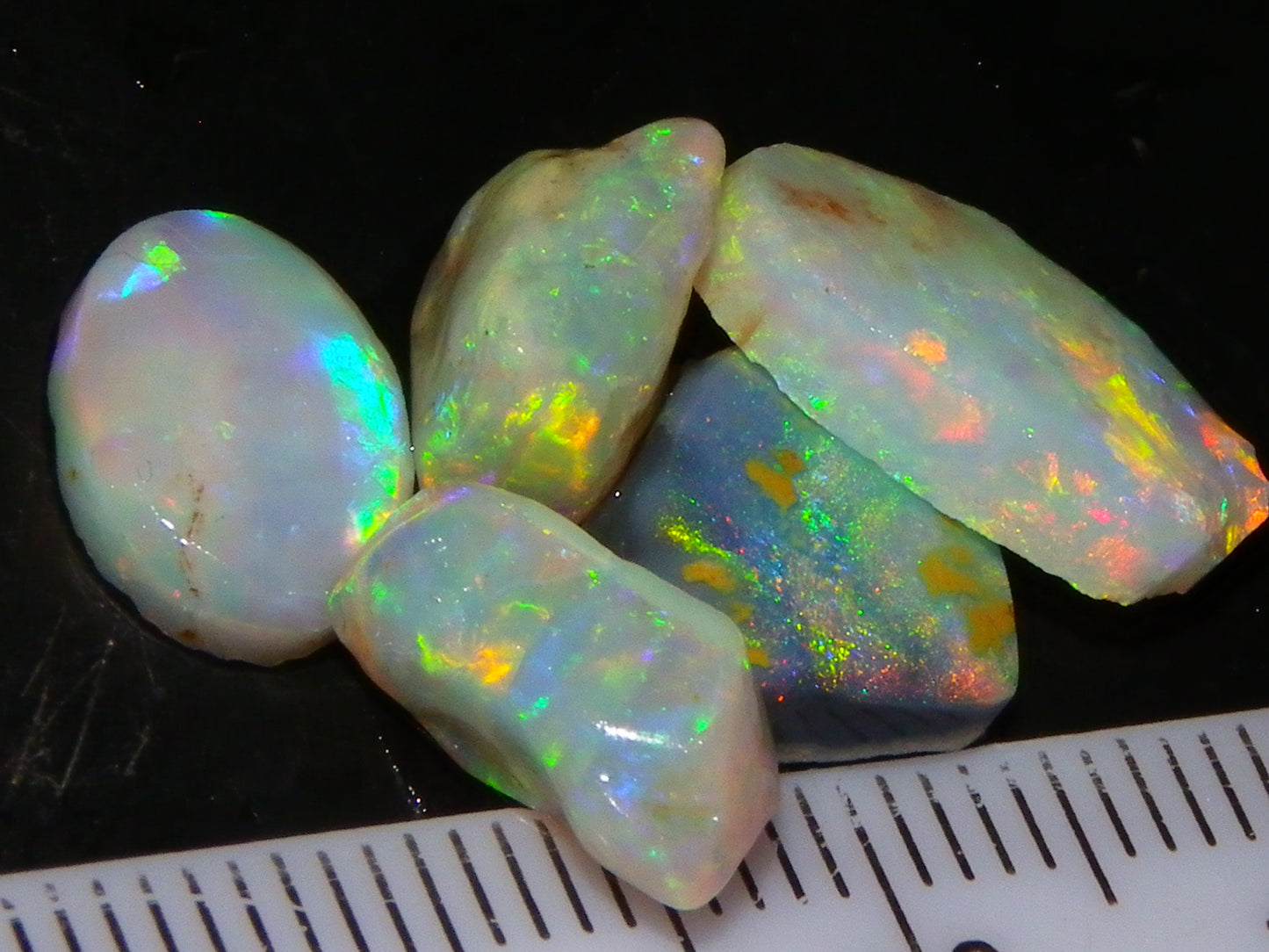 Nice Quality Rough/Rubbed Coober Pedy/LR Opal 8.25cts Bright Multicolours/Preforms Fires