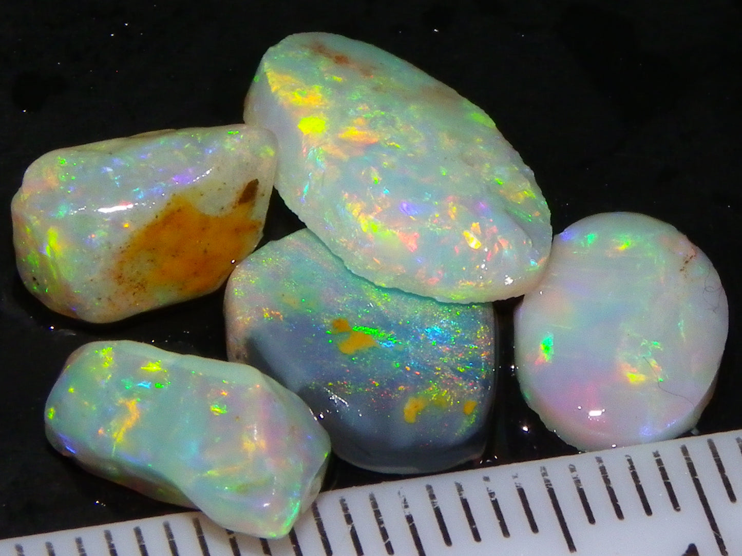 Nice Quality Rough/Rubbed Coober Pedy/LR Opal 8.25cts Bright Multicolours/Preforms Fires