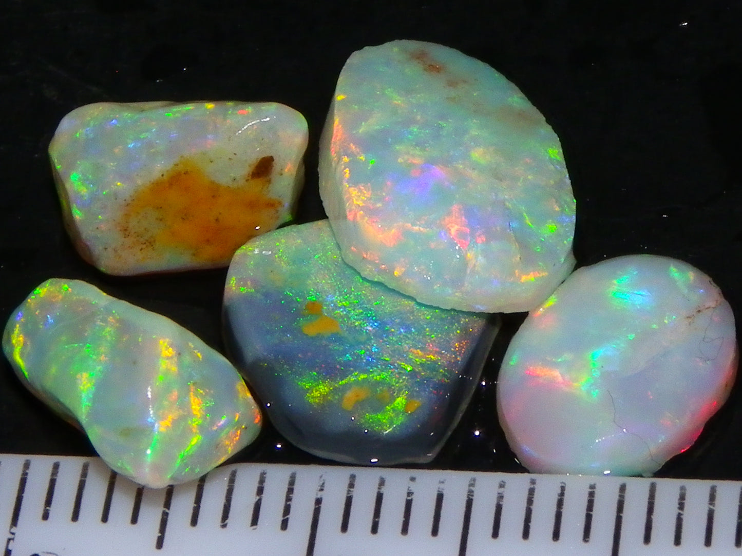 Nice Quality Rough/Rubbed Coober Pedy/LR Opal 8.25cts Bright Multicolours/Preforms Fires