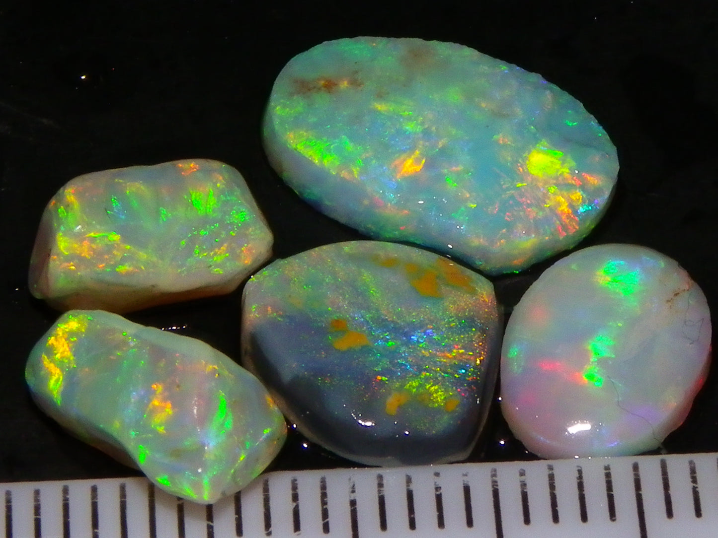 Nice Quality Rough/Rubbed Coober Pedy/LR Opal 8.25cts Bright Multicolours/Preforms Fires