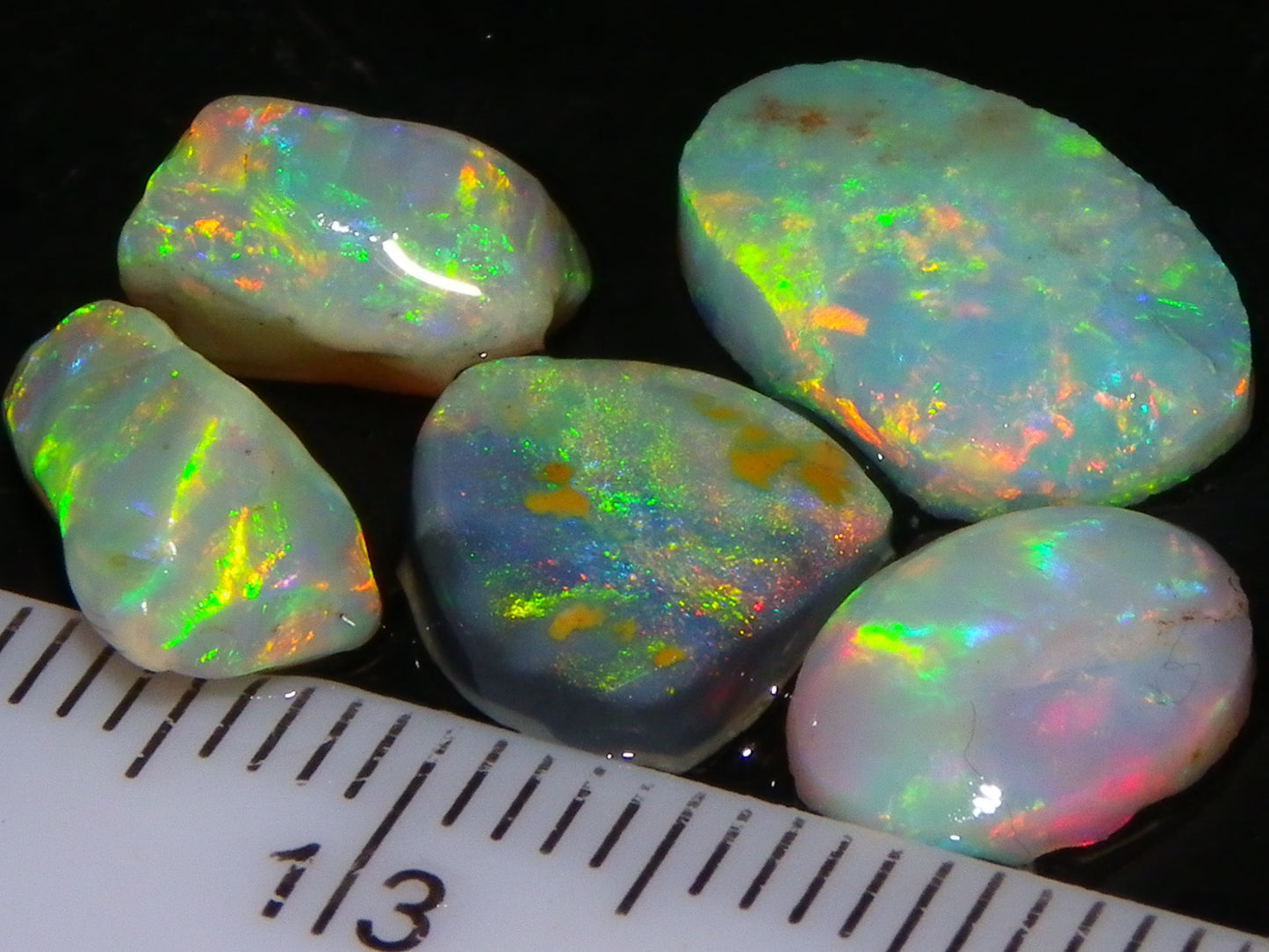 Nice Quality Rough/Rubbed Coober Pedy/LR Opal 8.25cts Bright Multicolours/Preforms Fires