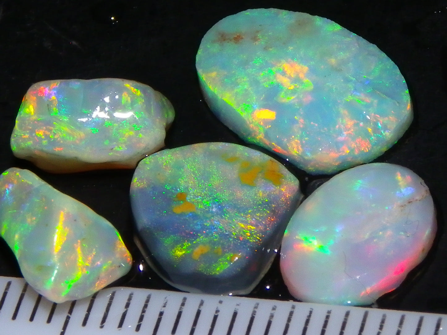 Nice Quality Rough/Rubbed Coober Pedy/LR Opal 8.25cts Bright Multicolours/Preforms Fires