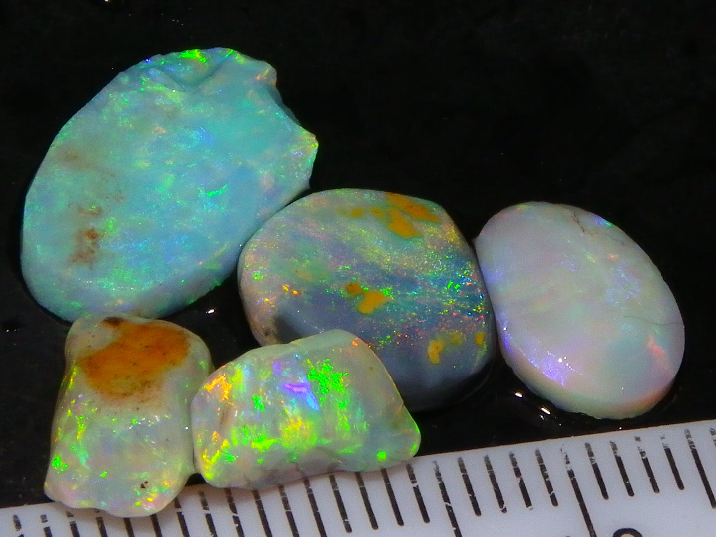 Nice Quality Rough/Rubbed Coober Pedy/LR Opal 8.25cts Bright Multicolours/Preforms Fires