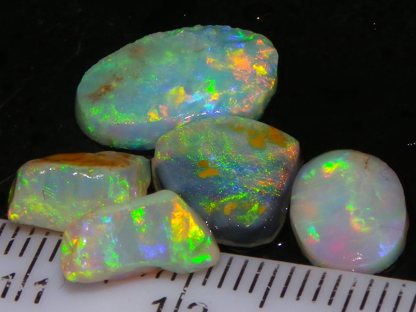 Nice Quality Rough/Rubbed Coober Pedy/LR Opal 8.25cts Bright Multicolours/Preforms Fires