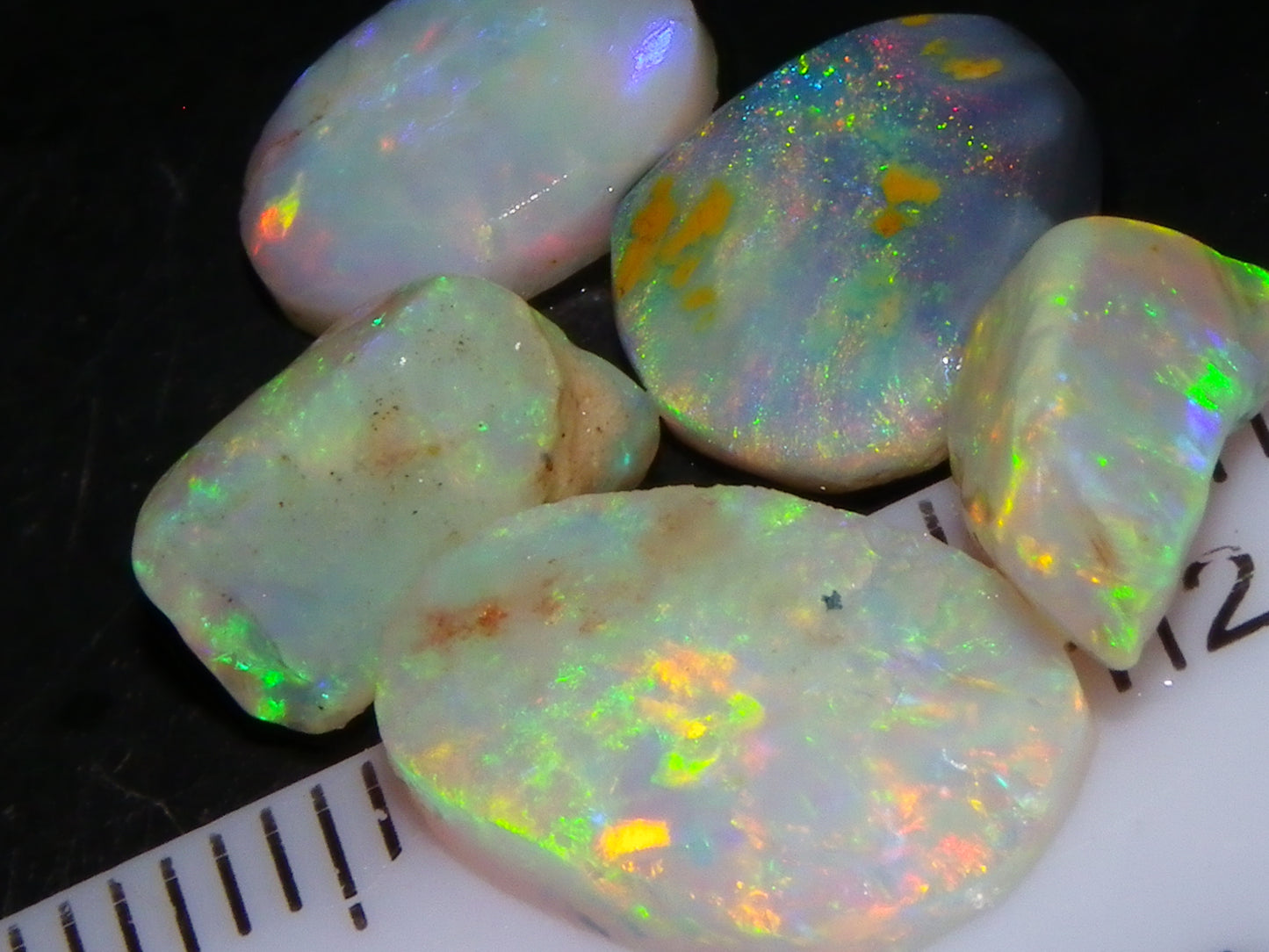 Nice Quality Rough/Rubbed Coober Pedy/LR Opal 8.25cts Bright Multicolours/Preforms Fires