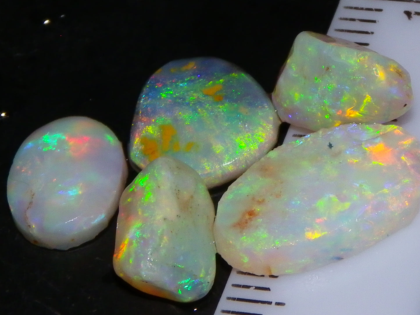 Nice Quality Rough/Rubbed Coober Pedy/LR Opal 8.25cts Bright Multicolours/Preforms Fires