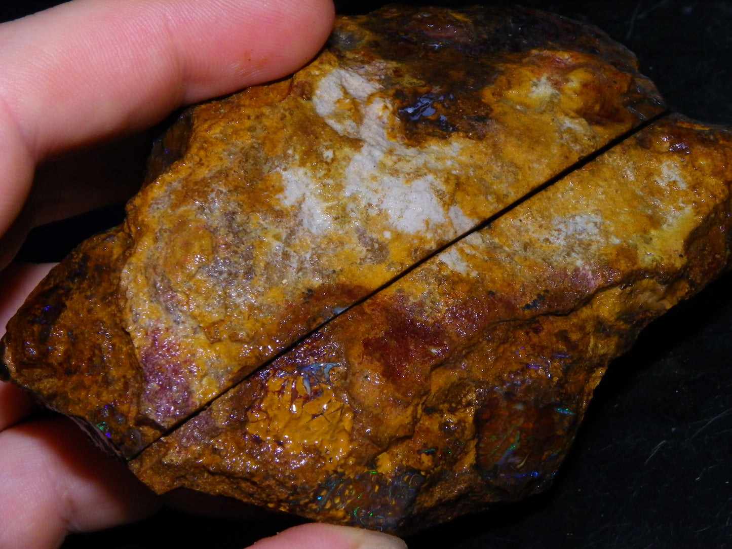 Huge 2779.5cts Koroit Opal Sliced Nut Rough Pair Blue/Green Fires/ Skin Ironstone