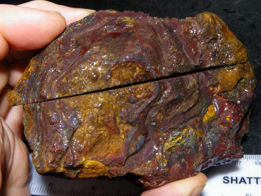 Huge 2779.5cts Koroit Opal Sliced Nut Rough Pair Blue/Green Fires/ Skin Ironstone