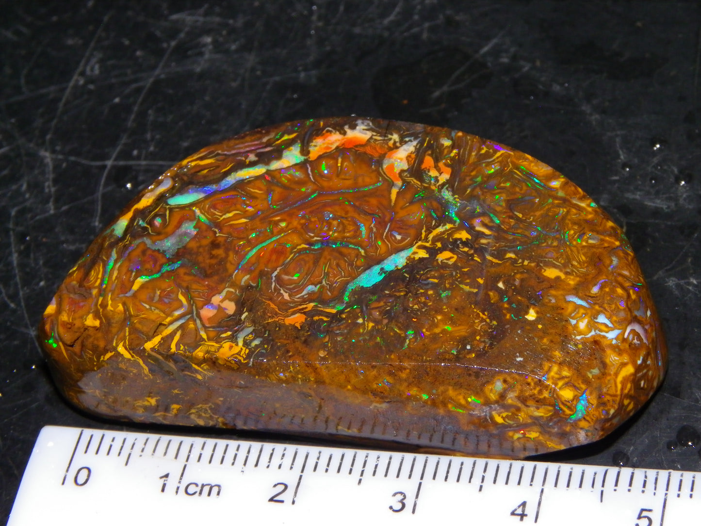 Nice Quality Rough Koroit Opal Preform 191cts Blue/Green Fires/Nut/Pattern Qld Australia