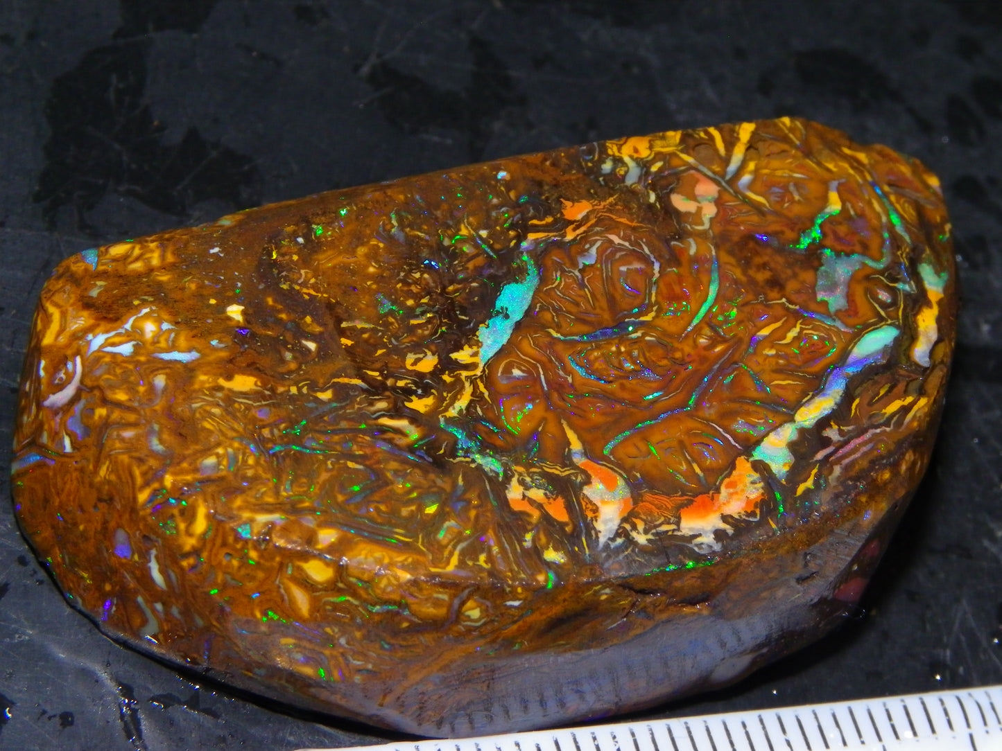Nice Quality Rough Koroit Opal Preform 191cts Blue/Green Fires/Nut/Pattern Qld Australia