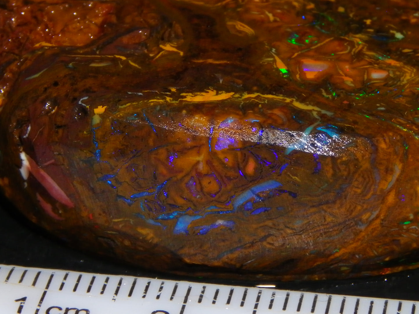 Nice Quality Rough Koroit Opal Preform 191cts Blue/Green Fires/Nut/Pattern Qld Australia
