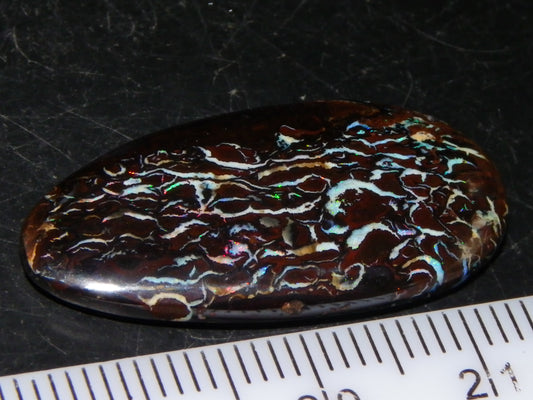 Nice Cut/Polished Koroit Opal Cab 14.8cts Patterns/Fires ironstones Queensland Au