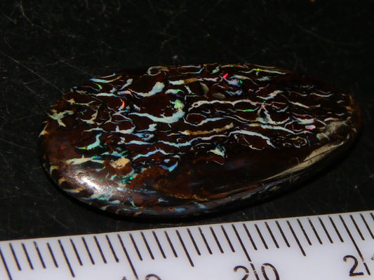 Nice Cut/Polished Koroit Opal Cab 14.8cts Patterns/Fires ironstones Queensland Au