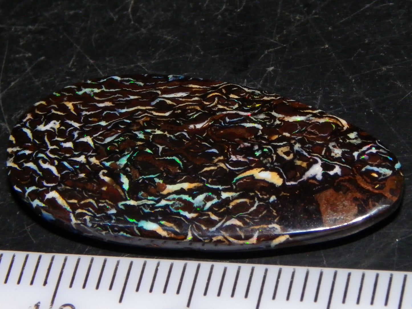 Nice Cut/Polished Koroit Opal Cab 14.8cts Patterns/Fires ironstones Queensland Au