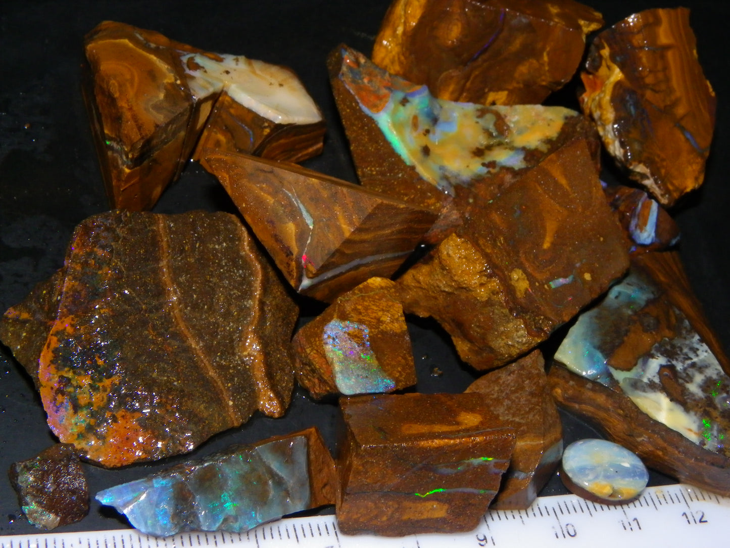 Nice Rough/Rubbed/Sliced Boulder Opal Parcel 913cts Some Veins/Fires/Specimens