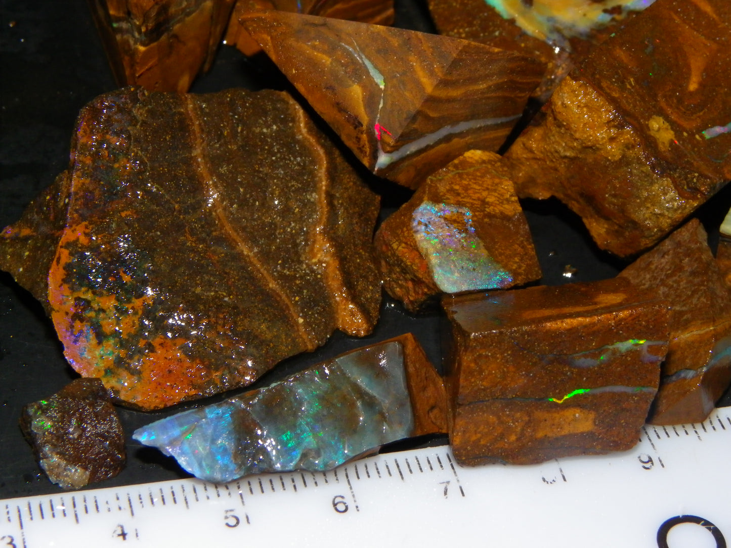 Nice Rough/Rubbed/Sliced Boulder Opal Parcel 913cts Some Veins/Fires/Specimens