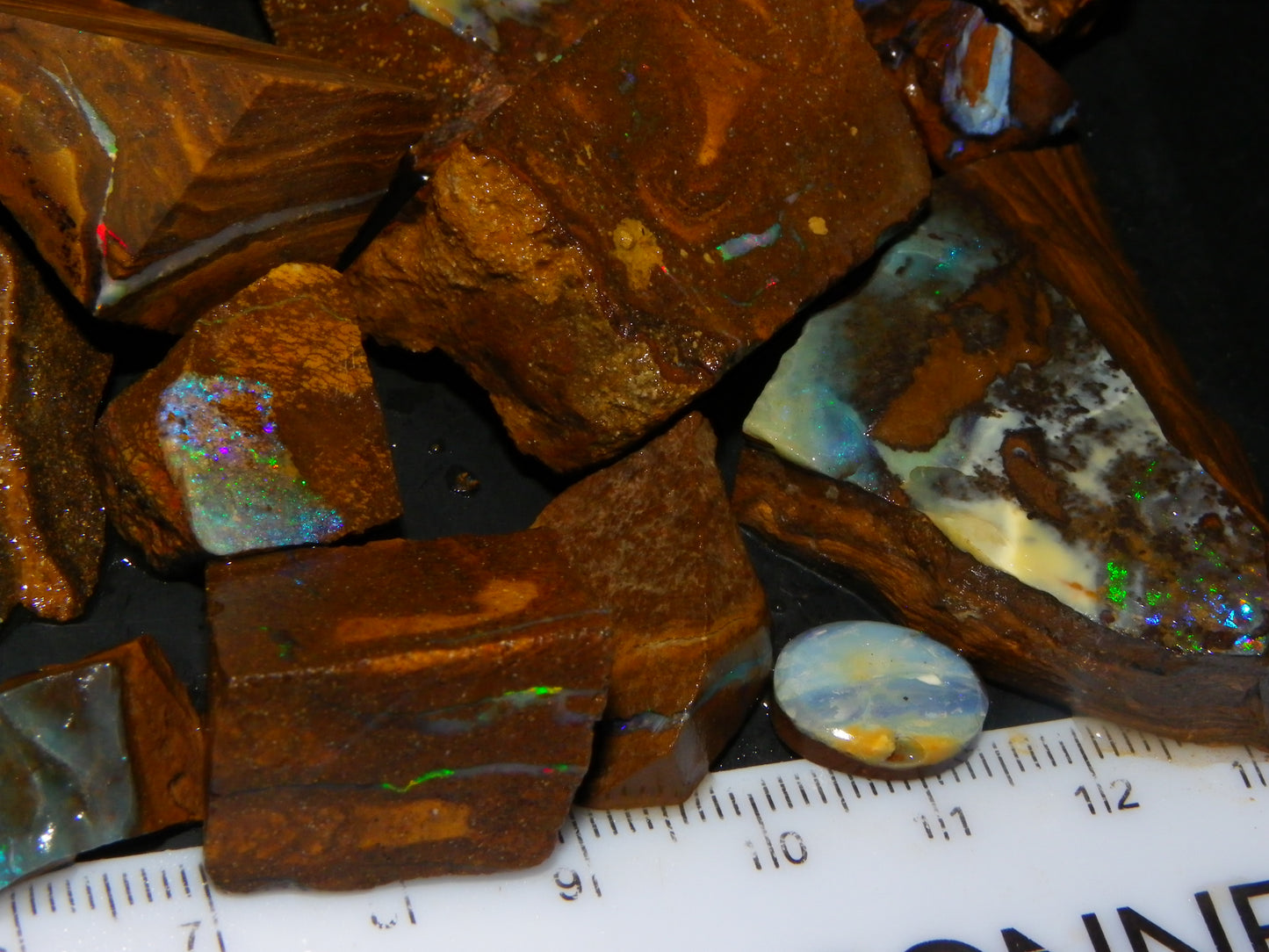 Nice Rough/Rubbed/Sliced Boulder Opal Parcel 913cts Some Veins/Fires/Specimens