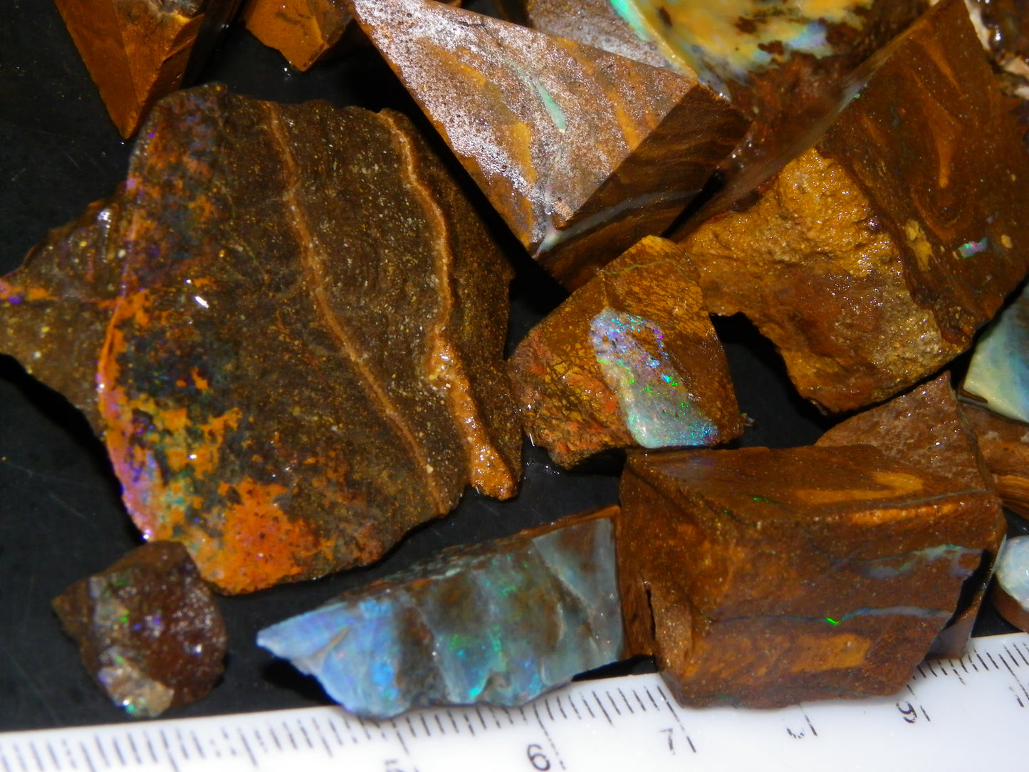 Nice Rough/Rubbed/Sliced Boulder Opal Parcel 913cts Some Veins/Fires/Specimens