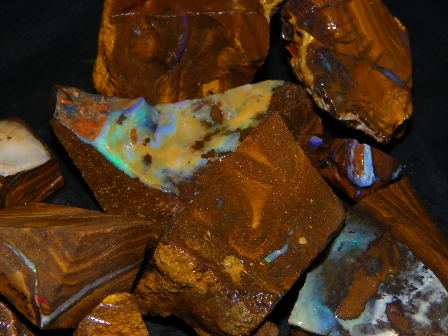 Nice Rough/Rubbed/Sliced Boulder Opal Parcel 913cts Some Veins/Fires/Specimens