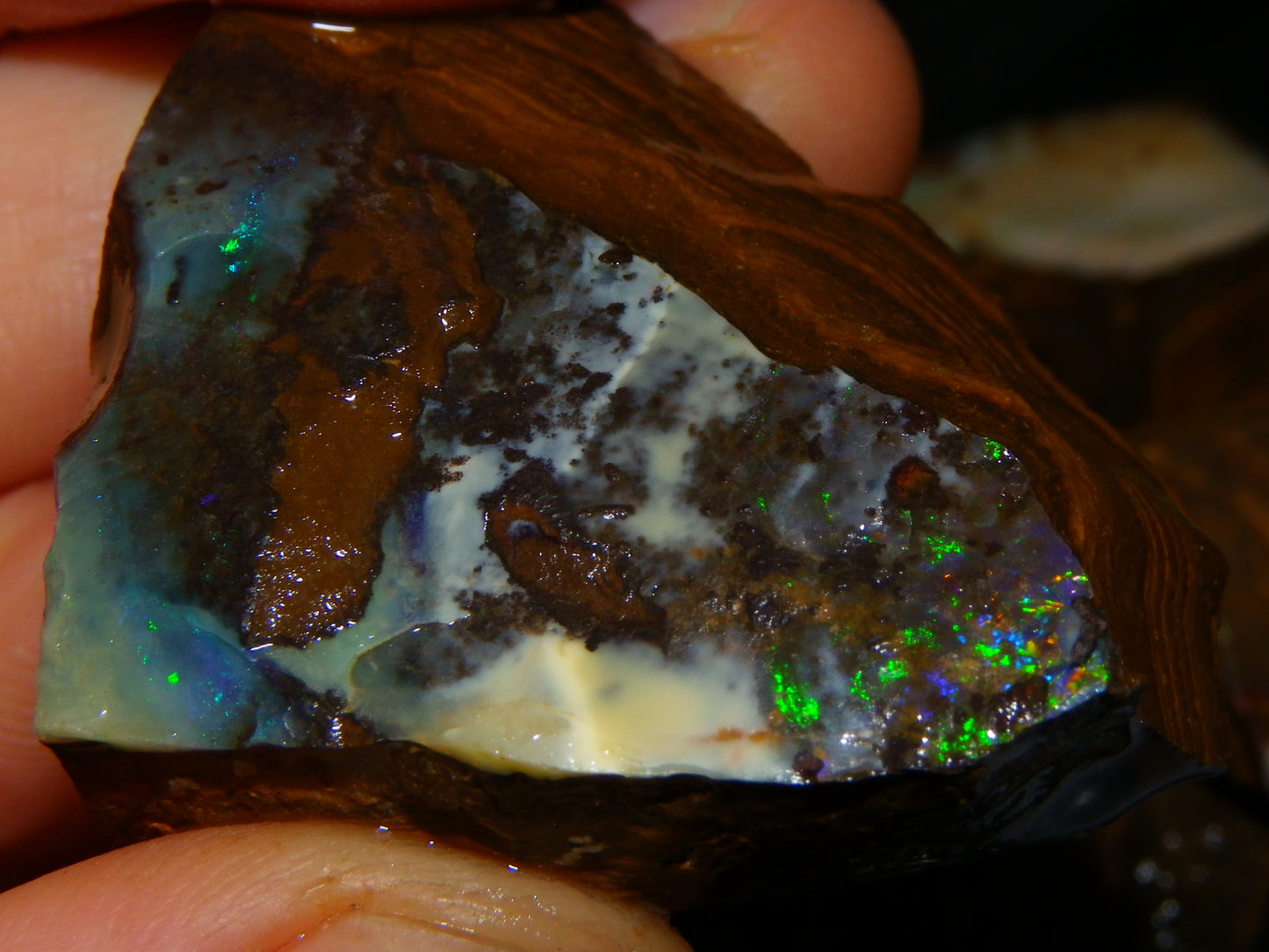 Nice Rough/Rubbed/Sliced Boulder Opal Parcel 913cts Some Veins/Fires/Specimens