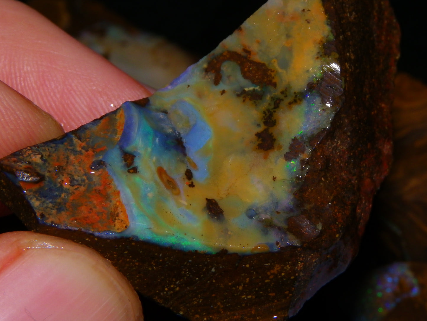 Nice Rough/Rubbed/Sliced Boulder Opal Parcel 913cts Some Veins/Fires/Specimens